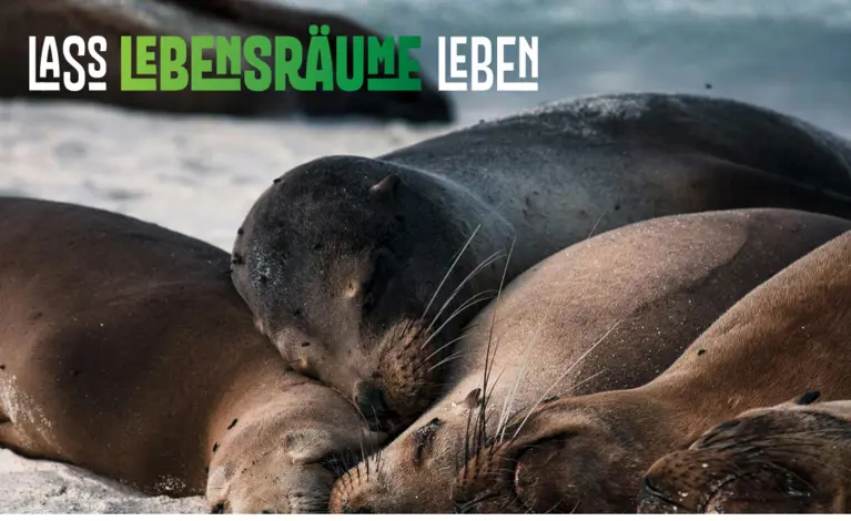 Gib der Natur eine Chance zu leben.