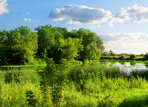 Landschaft Naturschutz Mecklenburg Vorpommern
