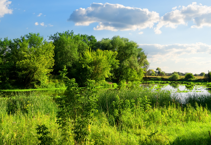 Landschaft Naturschutz Mecklenburg Vorpommern