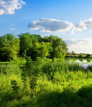 Landschaft Naturschutz Mecklenburg Vorpommern