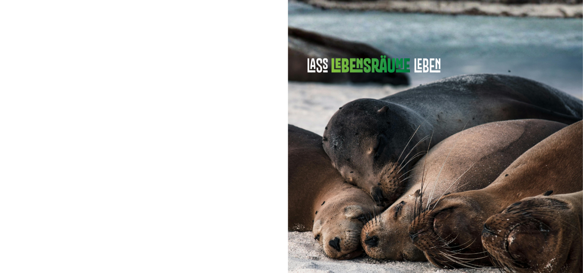 Gib der Natur eine Chance zu leben.