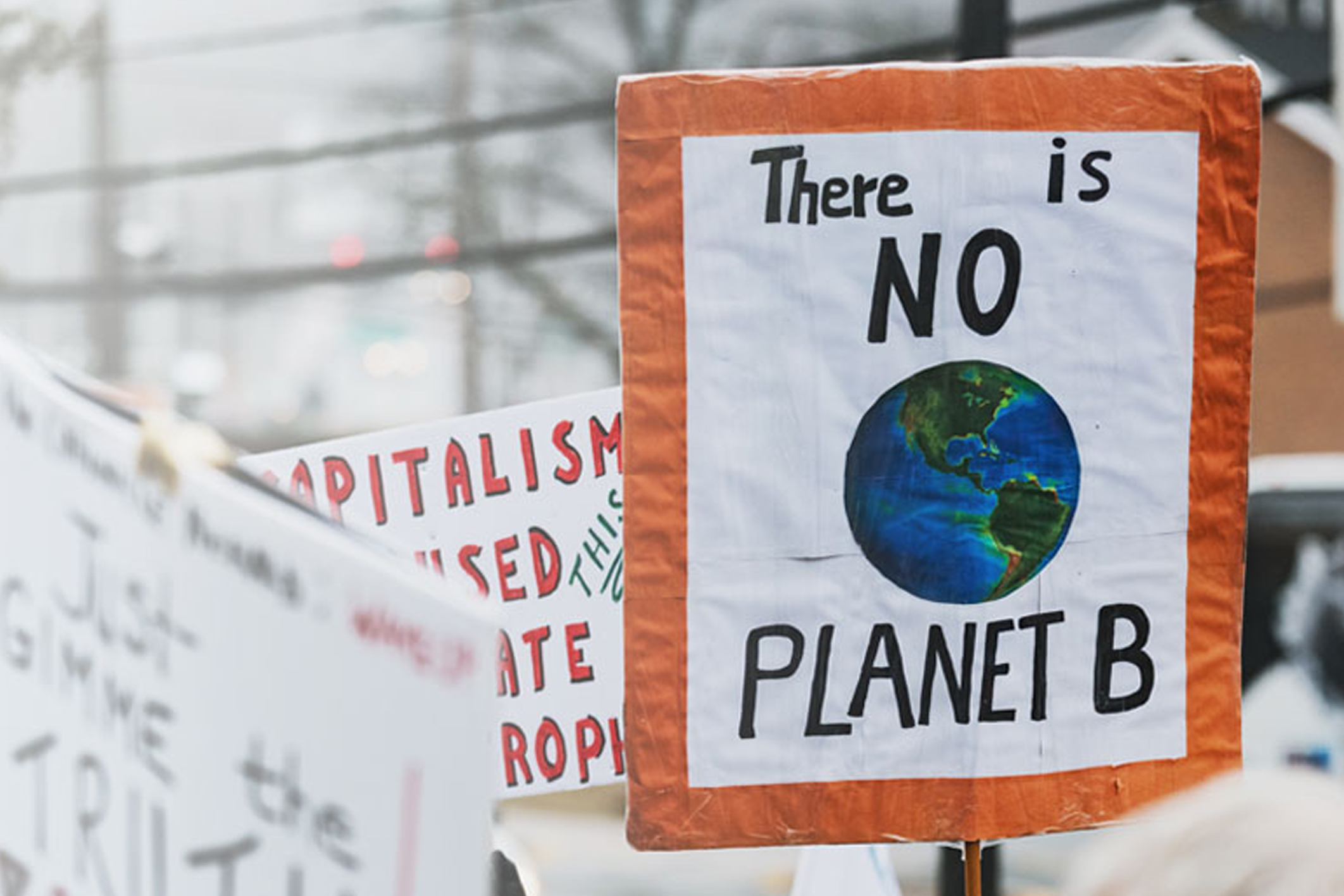 There is no planet B sign at climate change protest